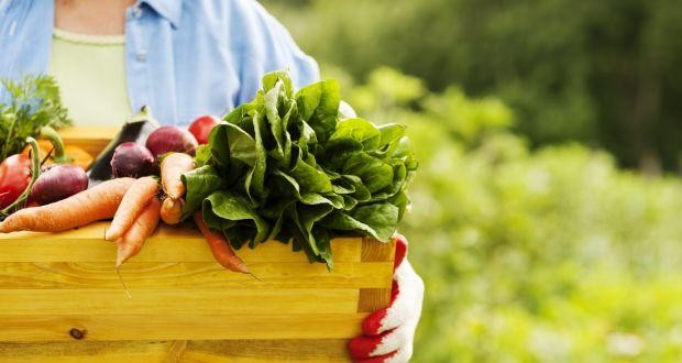 Return to your Healthy Tradition by choosing Organic Farming